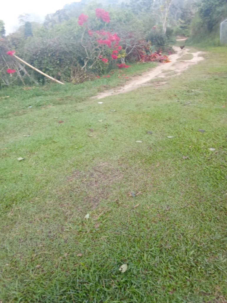 Vía Girón, Bucaramanga, Santander, Colombia 4